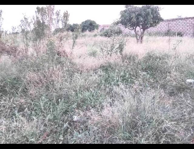 LAND FOR SALE IN MANKWENG